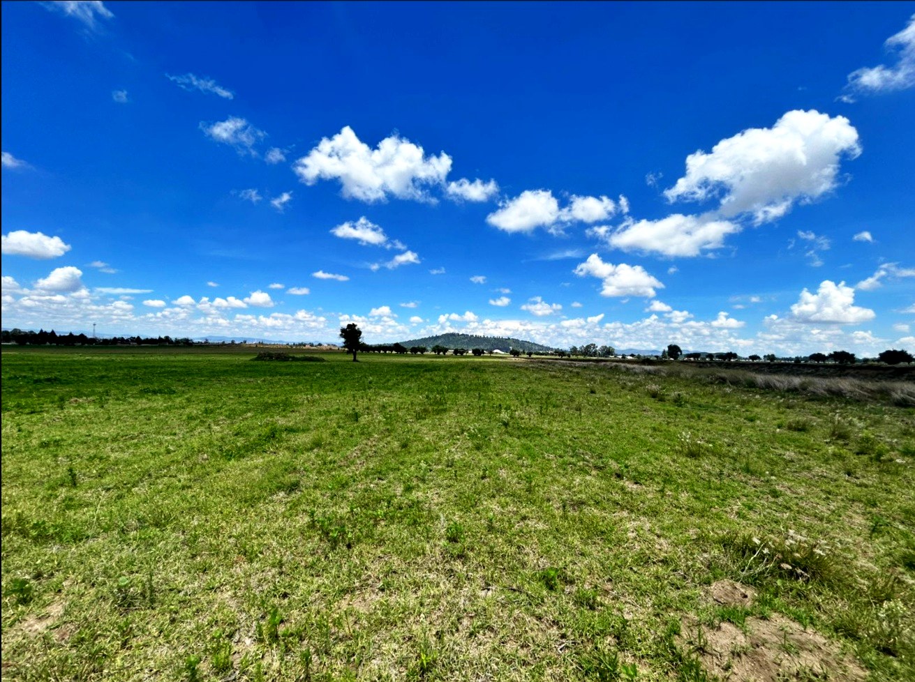 Reserva territorial de 9.5 ha
